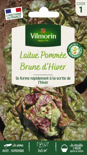 Potagères - Laitue d'Hiver Brune d'Hiver - PACKAGING_RECTO